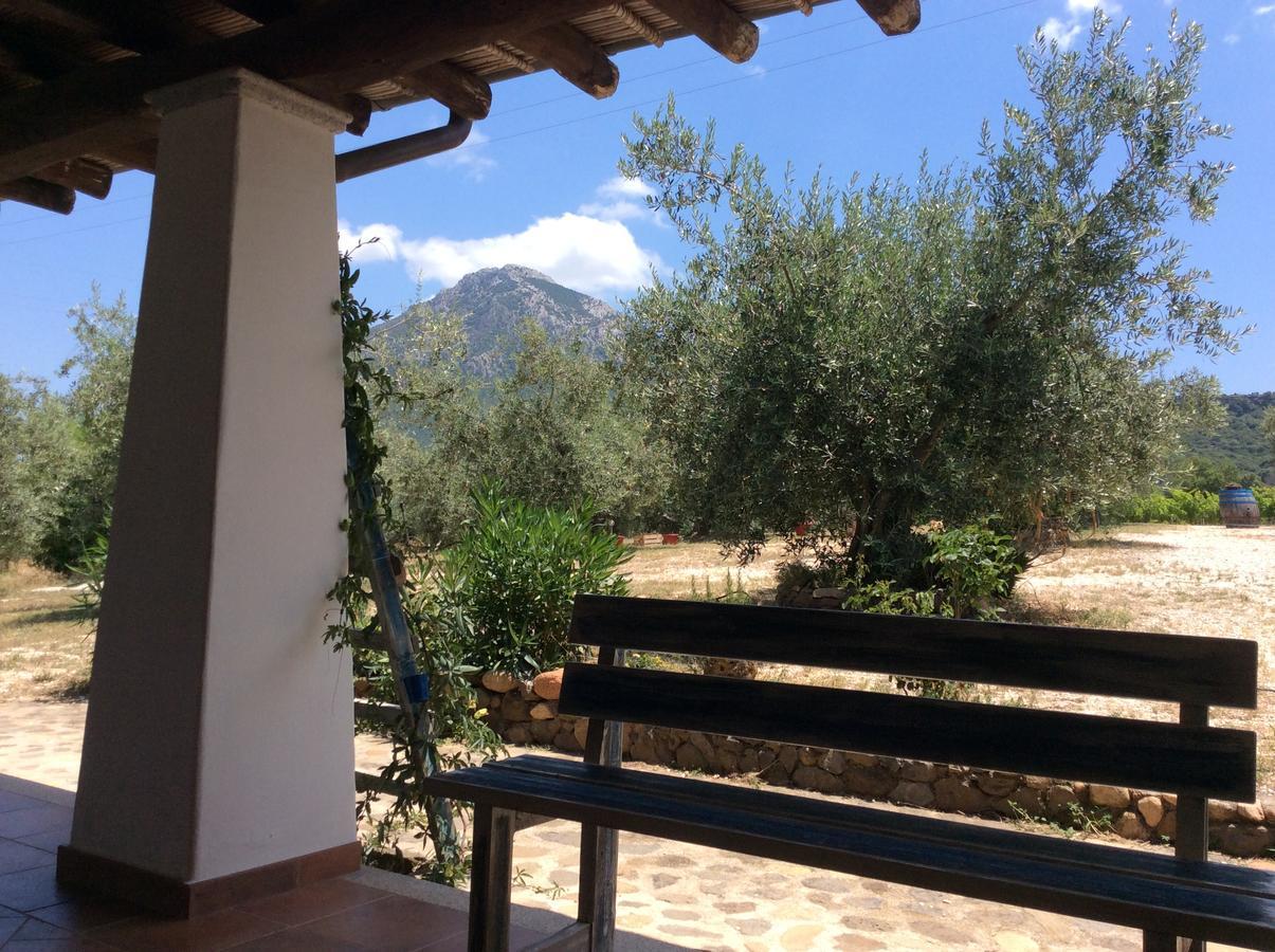 Tenuta Don Ballore Galtellì Екстериор снимка
